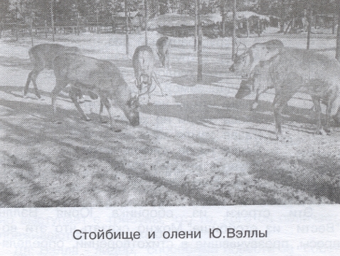 Njomsova4