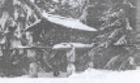 Njomsova7